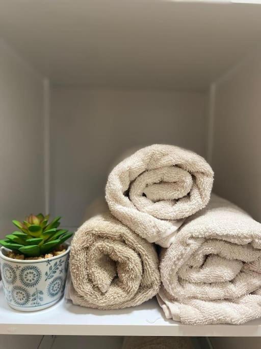 Apartamento Centro グラナダ エクステリア 写真